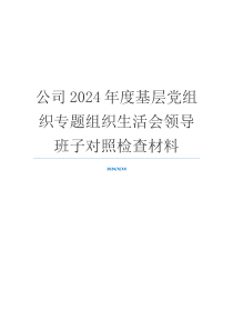 公司2024年度基层党组织专题组织生活会领导班子对照检查材料