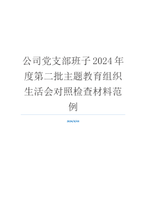 公司党支部班子2024年度第二批主题教育组织生活会对照检查材料范例