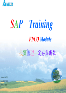 SAP-FI财务-4