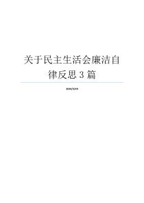 关于民主生活会廉洁自律反思3篇