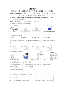 四川省攀枝花市2022-2023学年九年级下学期月考化学试卷（无答案)