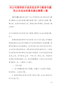 对公司领导班子成员党史学习教育专题民主生活会的意见建议集聚3篇