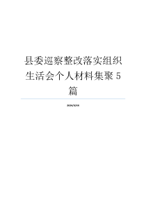 县委巡察整改落实组织生活会个人材料集聚5篇