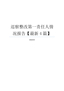 巡察整改第一责任人情况报告【最新4篇】