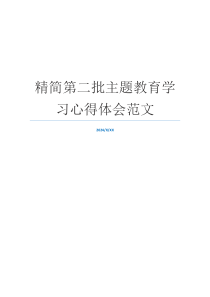 精简第二批主题教育学习心得体会范文