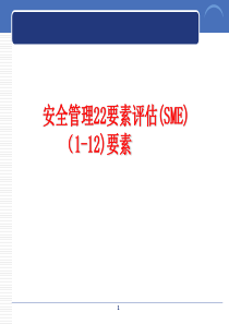 安全管理22要素评估(SME)要素（PPT91页)