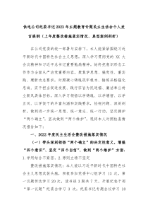 供电公司纪委书记2023年主题教育专题民主生活会个人发言提纲上年度整改措施落实情况典型案例剖析