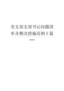 党支部支部书记问题清单及整改措施范例5篇