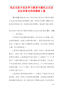 党总支班子党史学习教育专题民主生活会征求意见范例最新4篇