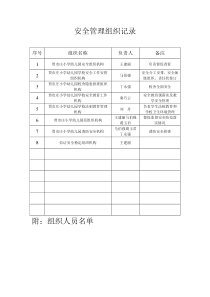 安全管理组织分工