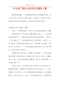 什么给了我什么初中作文通用4篇