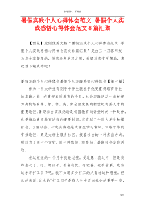 暑假实践个人心得体会范文 暑假个人实践感悟心得体会范文8篇汇聚