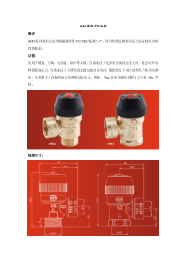 安全阀资料汇总 得汛推荐必属精品