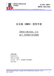 安全阀（DBV）使用手册