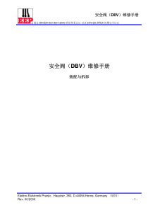 安全阀（DBV）维修手册