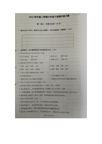 浙江省杭州市临安区部分校2022-2023学年六年级下学期期中联考语文试题