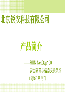 安全隔离与信息交换系统-北京锐安科技有限公司