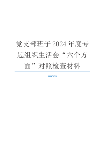 党支部班子2024年度专题组织生活会“六个方面”对照检查材料