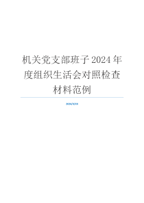 机关党支部班子2024年度组织生活会对照检查材料范例