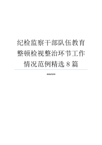 纪检监察干部队伍教育整顿检视整治环节工作情况范例精选8篇