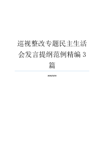 巡视整改专题民主生活会发言提纲范例精编3篇