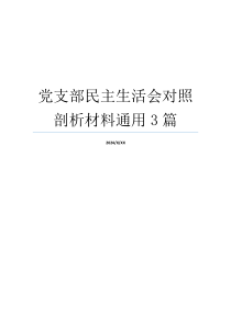 党支部民主生活会对照剖析材料通用3篇