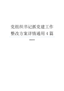 党组织书记抓党建工作整改方案详情通用4篇