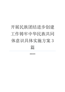 开展民族团结进步创建工作铸牢中华民族共同体意识具体实施方案3篇