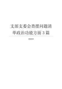 支部支委会查摆问题清单政治功能方面3篇