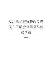 党组班子巡察整改专题民主生活会互提意见建议3篇