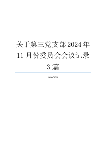 关于第三党支部2024年11月份委员会会议记录3篇