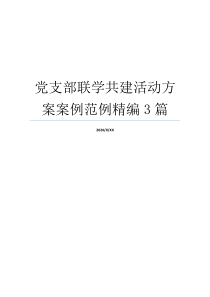 党支部联学共建活动方案案例范例精编3篇