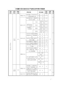 小型露天采石场安全生产标准化评审得分明细表