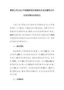 集团公司2023年度基层党支部组织生活会暨民主评议党员情况总结范文