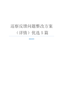 巡察反馈问题整改方案（详情）优选5篇