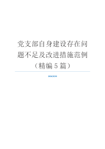 党支部自身建设存在问题不足及改进措施范例（精编5篇）