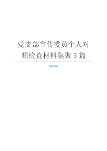 党支部宣传委员个人对照检查材料集聚5篇