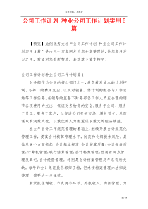 公司工作计划 种业公司工作计划实用5篇