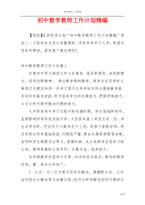 初中数学教师工作计划精编