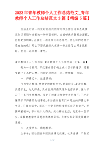 2023年青年教师个人工作总结范文_青年教师个人工作总结范文3篇【精编5篇】