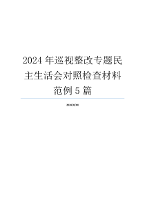 2024年巡视整改专题民主生活会对照检查材料范例5篇