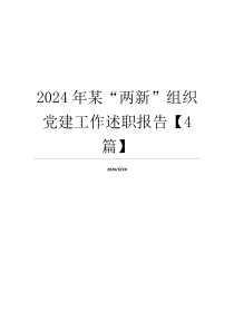 2024年某“两新”组织党建工作述职报告【4篇】