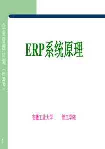 ERP系统原理课件