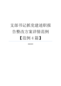 支部书记抓党建述职报告整改方案详情范例【范例4篇】