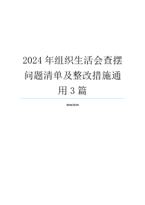 2024年组织生活会查摆问题清单及整改措施通用3篇