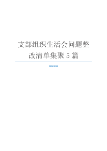 支部组织生活会问题整改清单集聚5篇