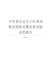 中学委员会关于区委巡察反馈意见整改落实情况的报告