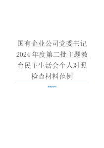 国有企业公司党委书记2024年度第二批主题教育民主生活会个人对照检查材料范例