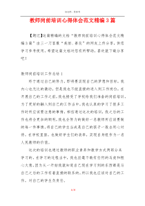 教师岗前培训心得体会范文精编3篇