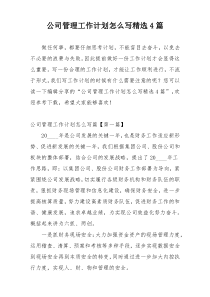 公司管理工作计划怎么写精选4篇